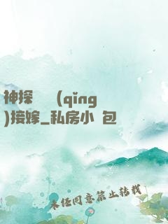 神探駙馬請(qǐng)接嫁