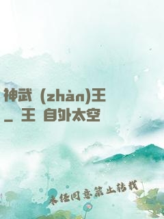 神武戰(zhàn)王