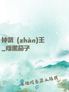 神武戰(zhàn)王