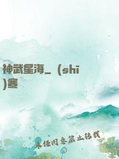 神武星海