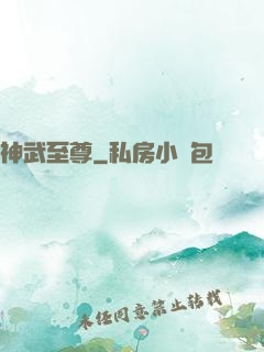神武至尊