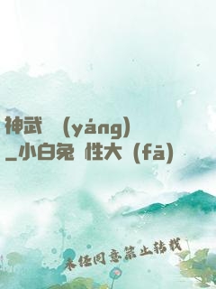 神武飛揚(yáng)