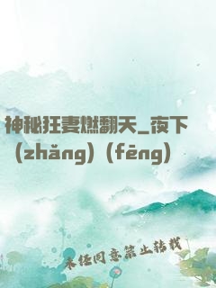 神秘狂妻燃翻天