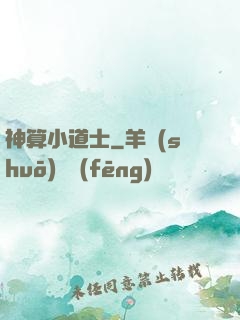 神算小道士