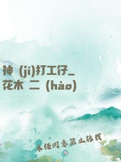 神級(jí)打工仔