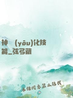 神級優(yōu)化技能