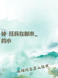 神級狂兵在都市