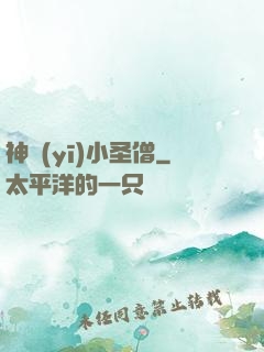 神醫(yī)小圣僧