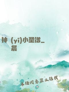 神醫(yī)小圣僧