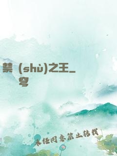 禁術(shù)之王