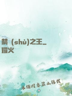 禁術(shù)之王