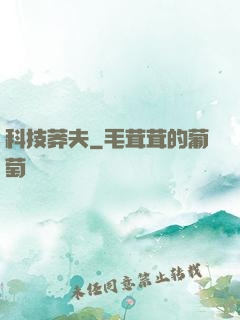 科技莽夫