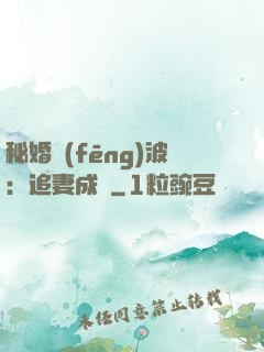 秘婚風(fēng)波：追妻成癮