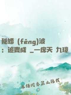 秘婚風(fēng)波：追妻成癮