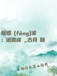 秘婚風(fēng)波：追妻成癮