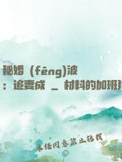 秘婚風(fēng)波：追妻成癮