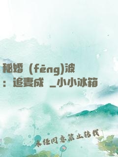 秘婚風(fēng)波：追妻成癮