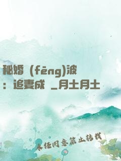 秘婚風(fēng)波：追妻成癮