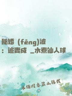 秘婚風(fēng)波：追妻成癮