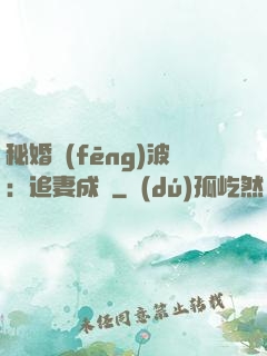 秘婚風(fēng)波：追妻成癮