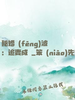 秘婚風(fēng)波：追妻成癮