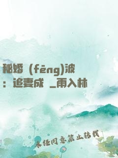 秘婚風(fēng)波：追妻成癮
