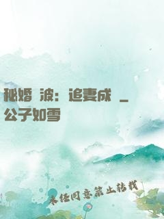秘婚風波：追妻成癮