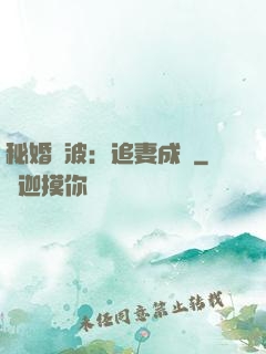 秘婚風波：追妻成癮