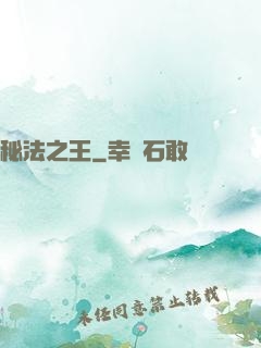 秘法之王