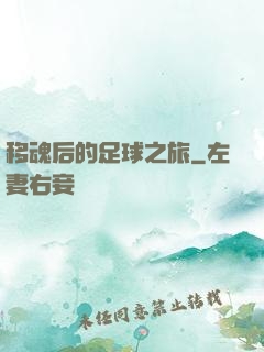 移魂后的足球之旅