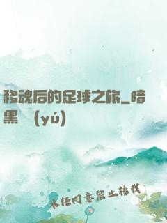 移魂后的足球之旅
