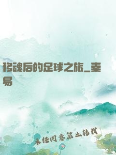 移魂后的足球之旅