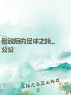 移魂后的足球之旅