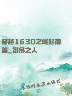 穿越1630之崛起南美