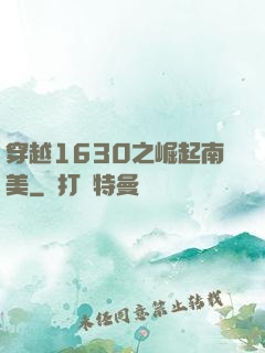 穿越1630之崛起南美