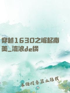 穿越1630之崛起南美