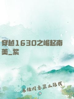 穿越1630之崛起南美