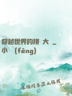 穿越世界的拼裝大師