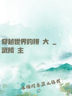 穿越世界的拼裝大師