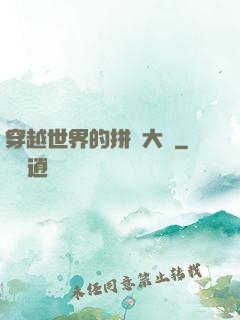 穿越世界的拼裝大師