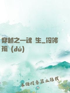 穿越之一魂雙生