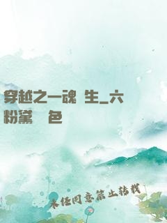 穿越之一魂雙生