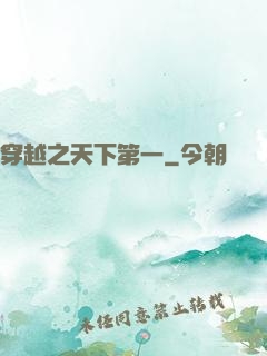 穿越之天下第一