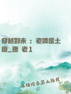 穿越到未來：老婆是土匪