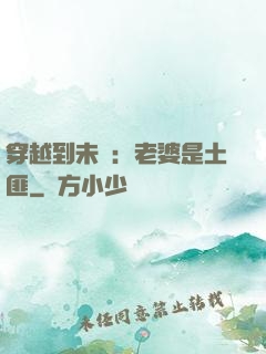 穿越到未來：老婆是土匪