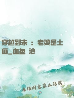 穿越到未來：老婆是土匪