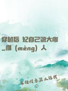 穿越后貴妃自己做大咖