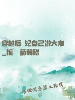 穿越后貴妃自己做大咖