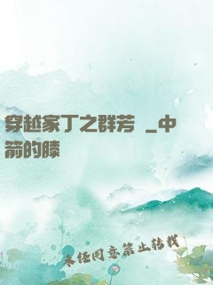 穿越家丁之群芳譜