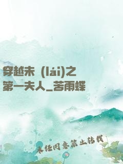 穿越未來(lái)之第一夫人
